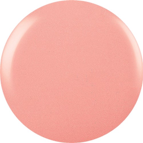 Shellac - Bare Chemise